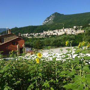 Apartamento Country House Le Grazie Serra San Quirico Exterior photo