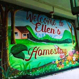 Ellen’s Homestead Irosin Exterior photo