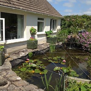 Ty Coed De Bed and Breakfast Haverfordwest Exterior photo