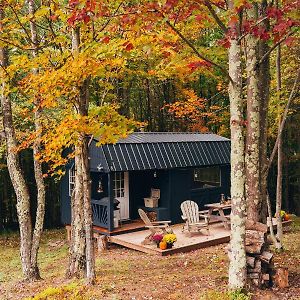 Mountain Brook Cabin Villa Bovina Exterior photo