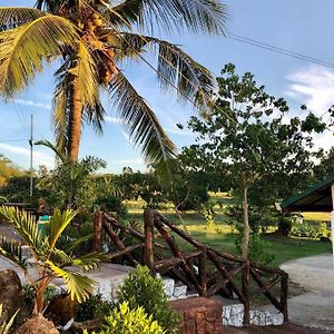 Michaels Homestay - Farm Villa Nr Patar Beach & Bolinao Falls Exterior photo