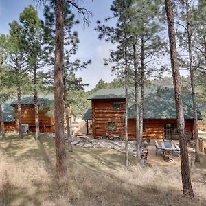 Piedmont Cabin About 10 Mi To Rapid City! Villa Exterior photo