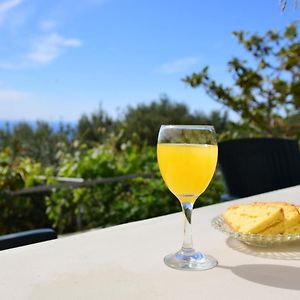 Perfetto Country House - Myrtos View Villa Anomeriá Exterior photo