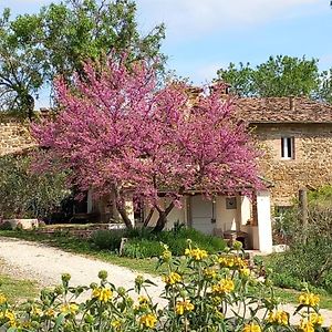 Apartamento Agriturismo Timignano Monteguidi Exterior photo