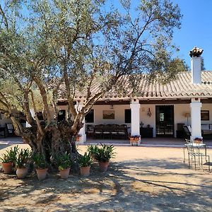 Casa De Campo - Cortijo El Palomar Villa Alcántara Exterior photo