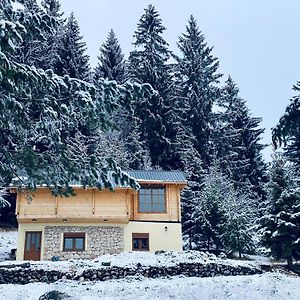 Magia Di Montagna Villa Žabljak Exterior photo