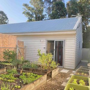 Apartamento Garden Cubby - The Lakeside Haven Lake Illawarra Exterior photo