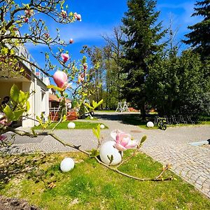 Szafirowy Dwor Hotel & Restauracja Gliwice Exterior photo