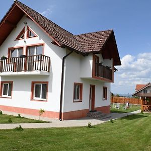 Casa Vutu Villa Statiunea Climaterica Sambata Exterior photo