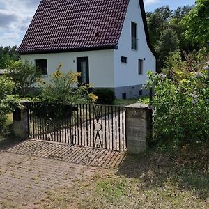Mecklenburgische Seenplatte - Saniertes und gemütliches Haus mit großem Garten und optionalem Steg Grosszerlang Exterior photo