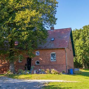 Ferienwohnung Zwischen Wald Und Strand Barhoft Exterior photo