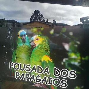 Pousada Dos Papagaios Bom Jardim da Serra Exterior photo