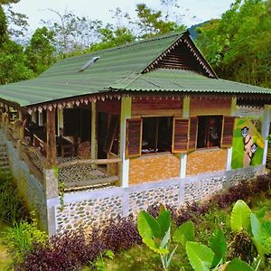 Hutan Subur Guest House And Volunteering Bukit Lawang Exterior photo