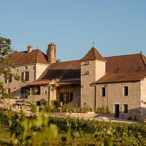 Clos Des Dames De Lancharre - La Maison Des Vignes Bed and Breakfast Chapaize Exterior photo