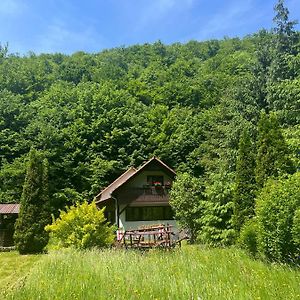 Cottage By The River Valea Draganului Poeni Exterior photo