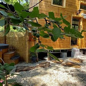 Mini Maison Tiny House Et Son Bain Nordique Villa Figeac Exterior photo