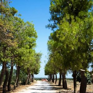 Masseria San Paolo Bed and Breakfast Salice Salentino Exterior photo