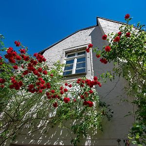 Gaestehaus Vanille & Chocolat Villa Stolberg  Exterior photo