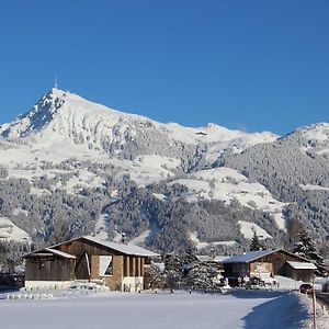 Chalet Weinberg Top 1 & Top 2 By Apartment Managers Kirchberg in Tirol Exterior photo