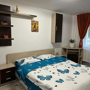 Mara Apartamento Făgăraş Exterior photo