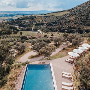 Apartamento Corte Francigena Montalcino Exterior photo