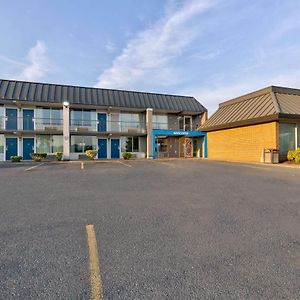 Motel 6-Mount Jackson, Va - Shenandoah Exterior photo