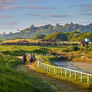 Hotel Kur-Cow Farm Escape 35 Minutes From Cairns Kuranda Exterior photo