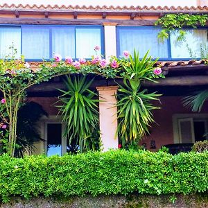 Apartamento The Secret Garden Maratea - Casa Di Sery Exterior photo