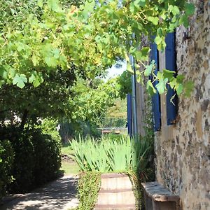 La maison Cayré Bed and Breakfast Mirandol-Bourgnounac Exterior photo