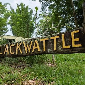 Blackwattle Farm Beerwah Exterior photo