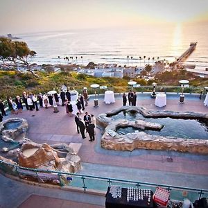 Apartamento City Chic Pied-A-Terre In La Jolla/Utc San Diego Exterior photo