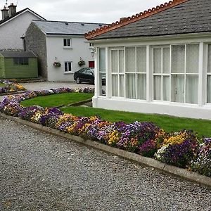 Ashmore House Bed and Breakfast Cashel  Exterior photo