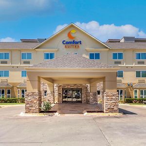 Comfort Suites North Dallas Exterior photo