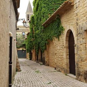 Apartamento Entre Uzes Et Le Pont-Du-Gard Le Logis D'Autrefois Castillon-du-Gard Exterior photo