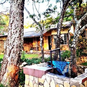 10 Guest Stay In The Mountains Of Nyanga! Juliasdale Exterior photo