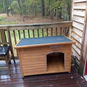 Rustic Quaint Cabin In The Woods--Pets Welcomed Dunnsville Exterior photo