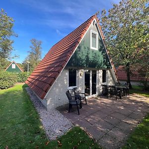 Het Familie Boshuisje - Vakantiewoning Op Prachtig Park Met Veel Faciliteiten Inc Ligbad Villa Gramsbergen Exterior photo