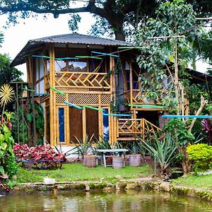 Hotel Casa Del Arbol, Romantico, Piscina, En Chinauta, El Mejor Clima El Michu Exterior photo