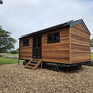 Woodland Shephards Hut - 'Aristocrat' Villa Caernarfon Exterior photo