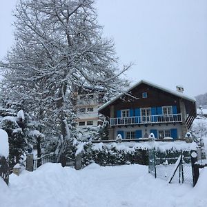 Auron Chalet Casanova Centre Et Pistes A Pied Villa Exterior photo