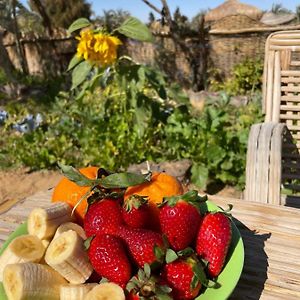 Domed Bedouin Chalet Bed and Breakfast Al Hayz Exterior photo