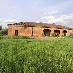 Appartement 4 A 6 Pers Entre Toulouse Et Albi Buzet-sur-Tarn Exterior photo