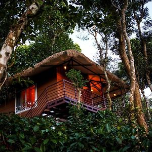 Hotel Coffee Cradle Wayanad Luxuorios Private Tree House - Inside 2 Acre Coffee Plantation Mananthavady Exterior photo