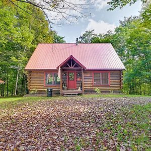 Gore Mountain Cabin Game Room And Fire Pit North Creek Exterior photo