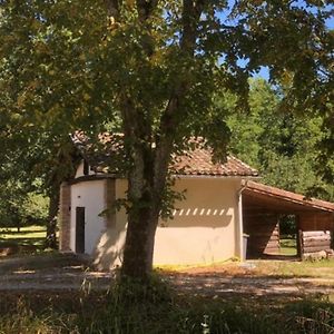 Apartamento Eco-Gite En Pleine Nature Lisle-sur-Tarn Exterior photo