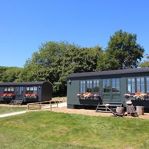 Hotel Hog Deer Creek - At Port Lympne Reserve Hythe  Exterior photo