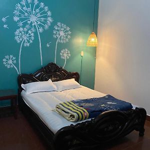 Toto Gest House Bed and Breakfast Ninh Binh Exterior photo