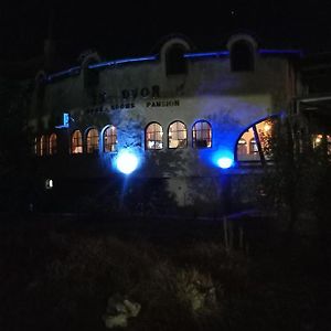 Hotel Bumbar Etno Dvorac Tekija  Exterior photo