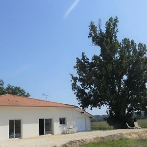 Juine Villa Fargues  Exterior photo