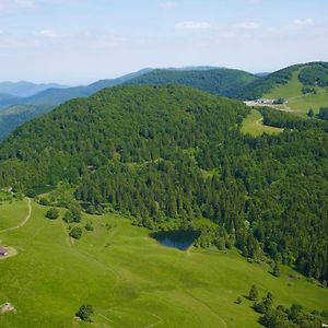 Chalet Rouge Gazon Altitude 1100M Villa Saint-Maurice-sur-Moselle Exterior photo